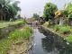 Sungai Berbau Menyengat Diduga Tercemar Limbah Tempe. (AlexaPodcast.ID)