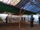 Polres Karawang Amankan Barang Bukti di Lokasi Diduga Judi Sabung Ayam Karangsinom Cegah Perjudian, Polres Karawang Lakukan Pengecekan Rutin di Tirtamulya. (AlexaPodcast.ID)