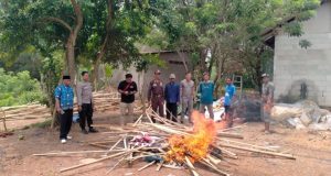 Polsek Cikampek Bongkar Arena Judi Sabung Ayam di Desa Karangsinom Kapolsek Cikampek Pimpin Pembongkaran Arena Sabung Ayam Bersama Warga. (AlexaPodcast.ID)