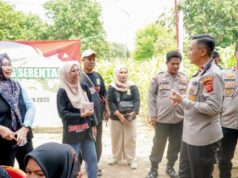 Dukung Ketahanan Pangan, Polres Karawang Ikut Pantau Panen Raya Serentak Polres Karawang Hadir di Panen Raya Serentak. (AlexaPodcast.ID)