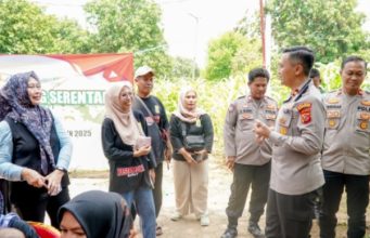 Dukung Ketahanan Pangan, Polres Karawang Ikut Pantau Panen Raya Serentak Polres Karawang Hadir di Panen Raya Serentak. (AlexaPodcast.ID)