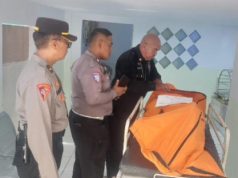 Diduga Mengantuk, Sopir Truk Tewas dalam Kecelakaan di Tol Cikampek KM 68.800 Kecelakaan Maut di Tol Cikampek. (AlexaPodcast.ID)