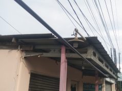 Bahaya Mengintai, Kabel Jaringan Tumpang Tindih Rusak Wajah Jalur Nasional Cirebon Kabel Jaringan Semrawut di Jalur Pantura Cirebon. (AlexaPodcast.ID)