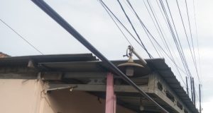 Bahaya Mengintai, Kabel Jaringan Tumpang Tindih Rusak Wajah Jalur Nasional Cirebon Kabel Jaringan Semrawut di Jalur Pantura Cirebon. (AlexaPodcast.ID)