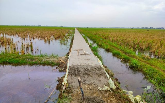 Proyek JUT Puspasari. (AlexaPodcast.ID)