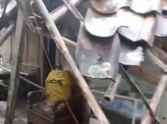 Hujan dan Angin Kencang Robohkan Rumah Warga di Tirtajaya Karawang Rumah Nengsih di Tambaksumur Ambruk Diterjang Cuaca Ekstrem. (AlexaPodcast.ID)