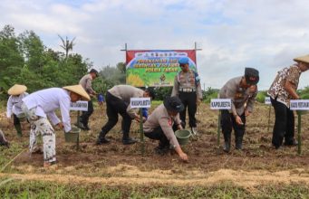 Dukung Swasembada Pangan 2026, Polresta Cirebon Tanam Jagung di Lahan 29 Hektare Polresta Cirebon Bersama Petani Tanam Jagung Serentak Perkuat Ketahanan Pangan. (AlexaPodcast.ID)