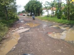 Bak Ranjau Maut, Jalan Suranenggala–Panguragan Picu Kecelakaan Jalan Rusak di Suranenggala–Panguragan Jadi Ancaman. (AlexaPodcast.ID)