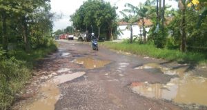 Bak Ranjau Maut, Jalan Suranenggala–Panguragan Picu Kecelakaan Jalan Rusak di Suranenggala–Panguragan Jadi Ancaman. (AlexaPodcast.ID)