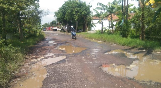 Bak Ranjau Maut, Jalan Suranenggala–Panguragan Picu Kecelakaan Jalan Rusak di Suranenggala–Panguragan Jadi Ancaman. (AlexaPodcast.ID)