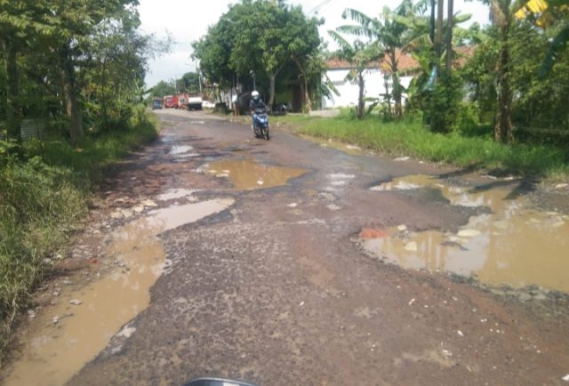Jalan Rusak di Suranenggala–Panguragan Jadi Ancaman. (AlexaPodcast.ID) Jalan Rusak di Suranenggala–Panguragan Jadi Ancaman. (AlexaPodcast.ID)