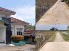 Proyek Jaling Desa Karyabhakti Diduga Mangkrak, Kades dan Pemborong Saling Bantah Soal Pembayaran Diduga Langgar Aturan, Proyek Dana Desa Karyabhakti Dikerjakan Pihak Ketiga. (AlexaPodcast.ID)