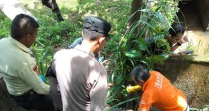 Mayat Perempuan Tanpa Identitas Ditemukan di Telukjambe Barat Polisi Selidiki Penemuan Jasad Wanita di Saluran Air KJIE. (AlexaPodcast.ID)