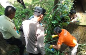 Mayat Perempuan Tanpa Identitas Ditemukan di Telukjambe Barat Polisi Selidiki Penemuan Jasad Wanita di Saluran Air KJIE. (AlexaPodcast.ID)