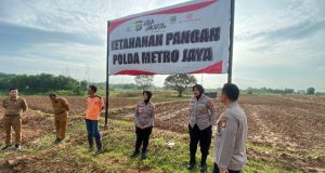 Polres Metro Bekasi Pastikan Kesiapan 25 Hektare Lahan Jagung di Cikarang Pusat Kapolres Sumarni Cek Progres Pengolahan Lahan Ketahanan Pangan. (AlexaPodcast.ID)