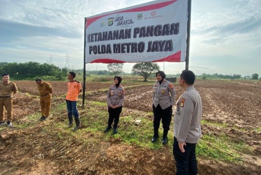 Polres Metro Bekasi Pastikan Kesiapan 25 Hektare Lahan Jagung di Cikarang Pusat Kapolres Sumarni Cek Progres Pengolahan Lahan Ketahanan Pangan. (AlexaPodcast.ID)