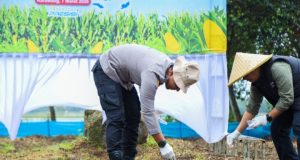Dukung Swasembada Pangan, Polres Karawang Tanam Jagung Serentak Polres Karawang Tanam Jagung Dukung Swasembada Pangan. (AlexaPidcast.ID)