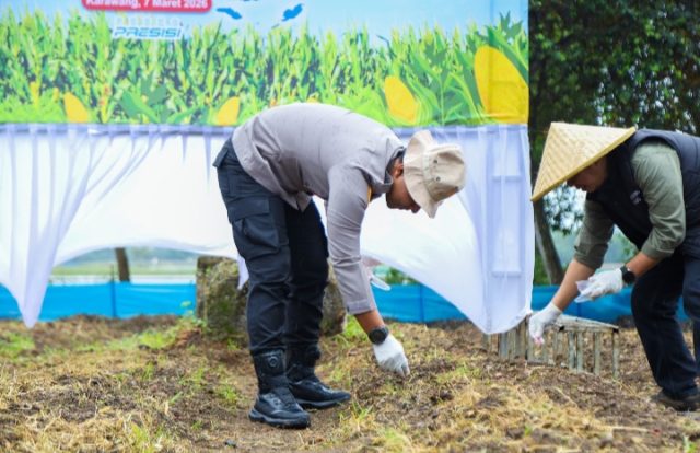 Polres Karawang Tanam Jagung Dukung Swasembada Pangan. (AlexaPidcast.ID)