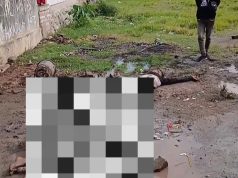 Viral Video Amukan Massa di Pedes, Polisi Turun Tangan Evakuasi Terduga Pelaku Curanmor Video Viral di Pedes: Dua Terduga Curanmor Diamuk Massa, Polisi Langsung Evakuasi. (AlexaPodcast.ID)