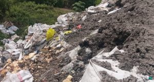 Ancaman Pencemaran Lingkungan, Dugaan Limbah B3 Ditemukan di Lahan Terbuka Karawang Lahan Diduga Timbun Limbah Industri di Telukjambe Timur. (AlexaPodcast.ID)