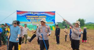 Polres Karawang Pimpin Penanaman Jagung Perdana Dukung Swasembada Pangan 2026 Penanaman Jagung 2 Hektare di Kamojing Targetkan Panen 8 Ton. (AlexaPodcast.ID)