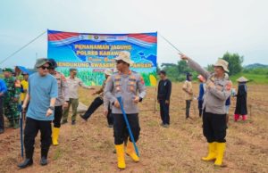 Polres Karawang Pimpin Penanaman Jagung Perdana Dukung Swasembada Pangan 2026 Penanaman Jagung 2 Hektare di Kamojing Targetkan Panen 8 Ton. (AlexaPodcast.ID)
