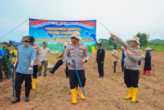 Polres Karawang Pimpin Penanaman Jagung Perdana Dukung Swasembada Pangan 2026 Penanaman Jagung 2 Hektare di Kamojing Targetkan Panen 8 Ton. (AlexaPodcast.ID)