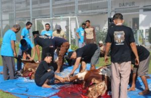Lapas Kelas IIA Cikarang Gelar Sholat Idul Adha dan Sembelih 16 Hewan Kurban Kurban Jadi Sarana Pembinaan dan Gotong Royong Warga Binaan. (AlexaPodcast.ID)
