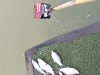 Diduga Tercemar Limbah, Ratusan Ikan di Irigasi Johar Karawang Mati Mengambang Ikan Mati Massal di Sungai Irigasi Johar. (AlexaPodcast.ID)