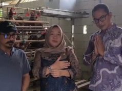 DPMD Karawang Sowan ke BUMDesa Sejahtera, Usaha Ayam Petelur Jadi Andalan Tekan Stunting DPMD Karawang Apresiasi Inovasi Ekonomi dan Sosial. (AlexaPodcast.ID)