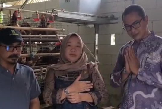 DPMD Karawang Sowan ke BUMDesa Sejahtera, Usaha Ayam Petelur Jadi Andalan Tekan Stunting DPMD Karawang Apresiasi Inovasi Ekonomi dan Sosial. (AlexaPodcast.ID)
