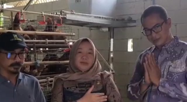 DPMD Karawang Sowan ke BUMDesa Sejahtera, Usaha Ayam Petelur Jadi Andalan Tekan Stunting DPMD Karawang Apresiasi Inovasi Ekonomi dan Sosial. (AlexaPodcast.ID)