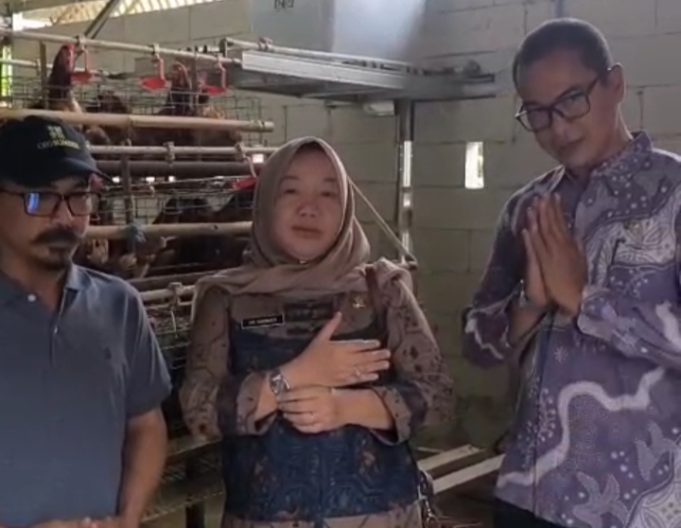 DPMD Karawang Sowan ke BUMDesa Sejahtera, Usaha Ayam Petelur Jadi Andalan Tekan Stunting DPMD Karawang Apresiasi Inovasi Ekonomi dan Sosial. (AlexaPodcast.ID)