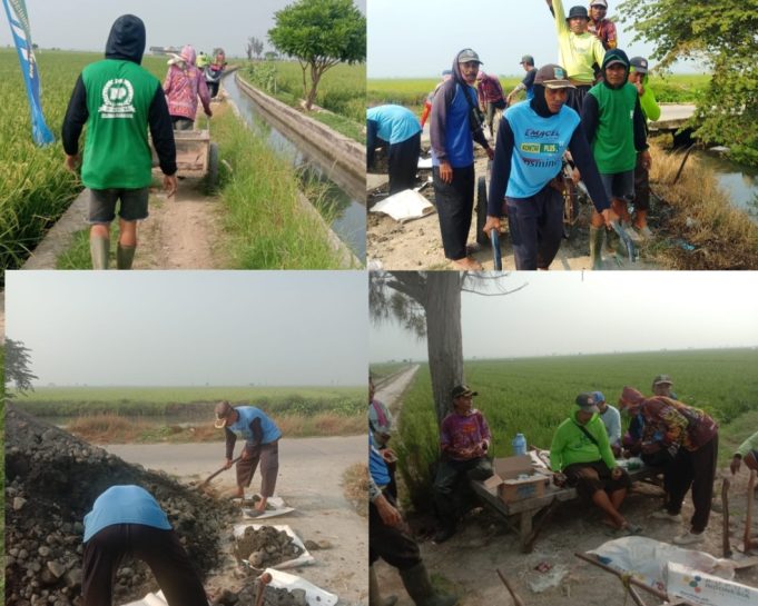 Kerja Bakti Jelang Panen Raya, Pemdes Kertamukti Prioritaskan Akses Distribusi Hasil Pertanian H. Warnadi Pimpin Kerja Bakti Pengerasan Jalan di Blok Cikoranding untuk Dukung Petani. (AlexaPodcast.ID)