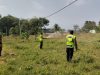 Polisi Turun ke Sawah! Polsek Pangkalan Kawal Lahan Jagung Demi Swasembada Pangan