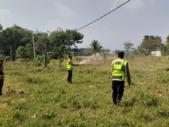 Polisi Turun ke Sawah! Polsek Pangkalan Kawal Lahan Jagung Demi Swasembada Pangan