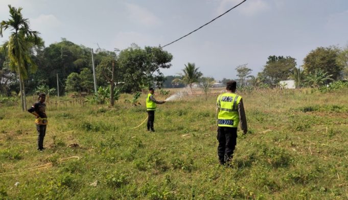 Polisi Turun ke Sawah! Polsek Pangkalan Kawal Lahan Jagung Demi Swasembada Pangan