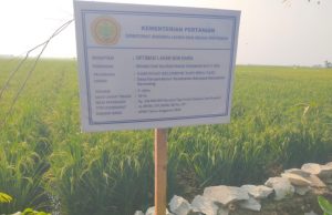 Diduga Gunakan Material Kualitas Rendah, Proyek Irigasi Gapoktan Bina Tani Dipertanyakan