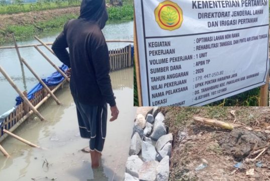Pemasangan Batu Kali di Tengah Genangan Air, Kualitas Proyek OPLAH Tanahbaru Dipertanyakan